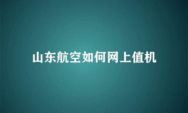 山东航空如何网上值机