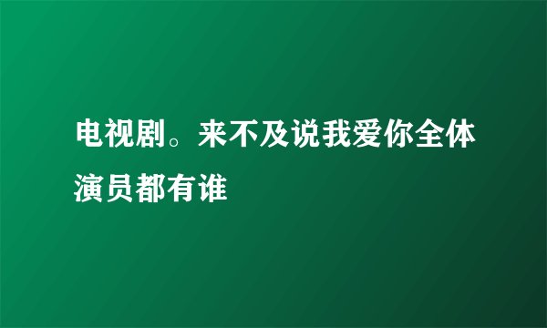 电视剧。来不及说我爱你全体演员都有谁