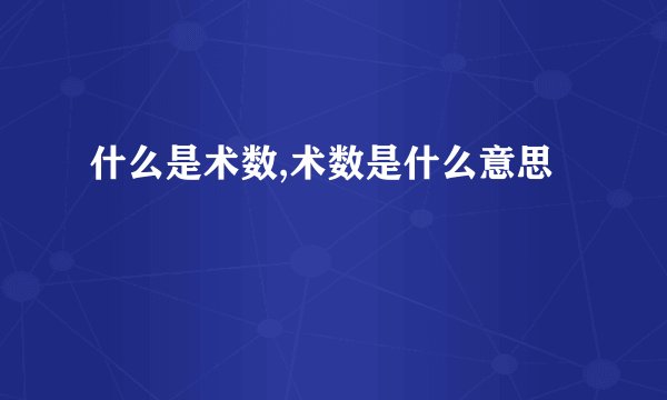 什么是术数,术数是什么意思