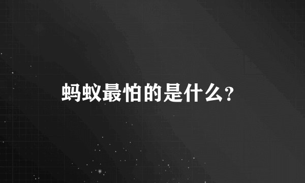蚂蚁最怕的是什么？