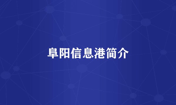 阜阳信息港简介
