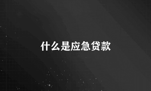 什么是应急贷款