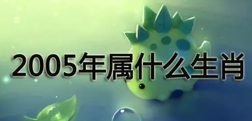 2005年是什么年