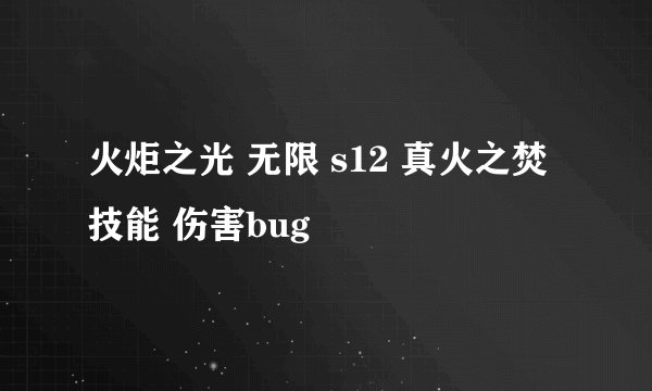 火炬之光 无限 s12 真火之焚技能 伤害bug