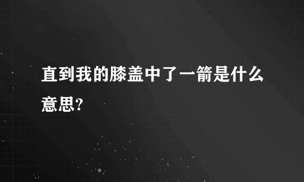 直到我的膝盖中了一箭是什么意思?