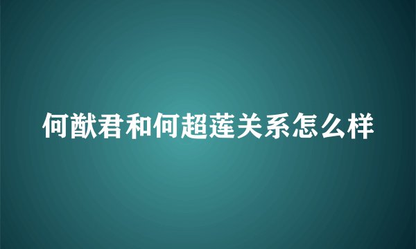 何猷君和何超莲关系怎么样