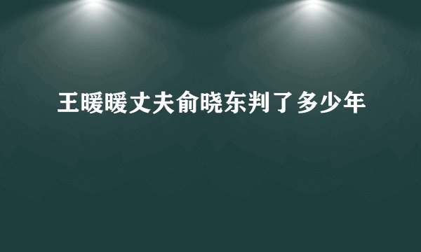 王暖暖丈夫俞晓东判了多少年