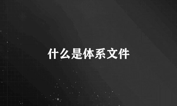 什么是体系文件