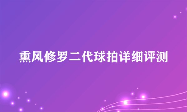 熏风修罗二代球拍详细评测