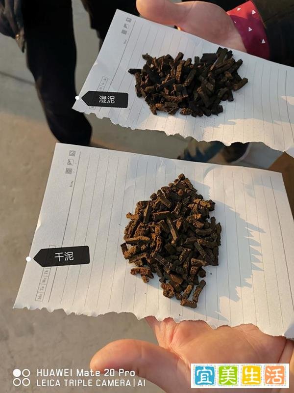 造纸行业污泥干化的方法？