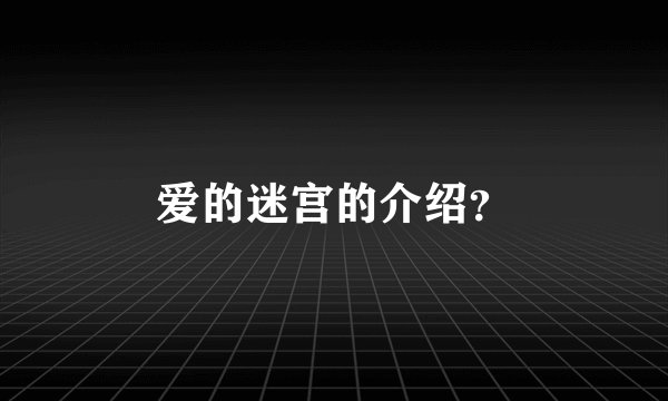 爱的迷宫的介绍？