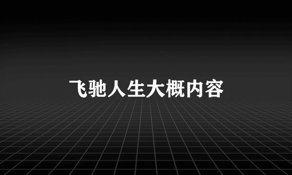 飞驰人生大概内容
