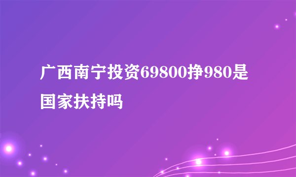 广西南宁投资69800挣980是国家扶持吗