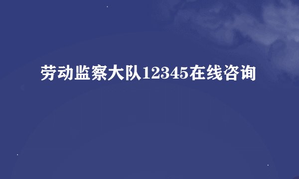 劳动监察大队12345在线咨询