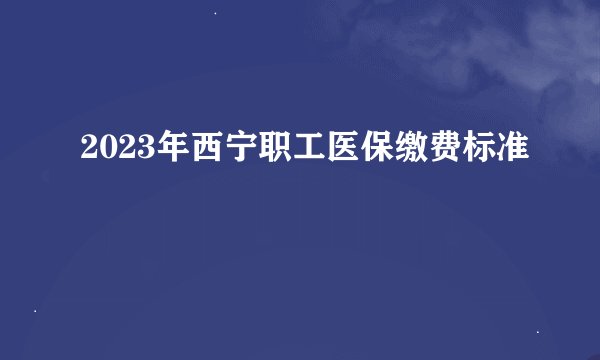 2023年西宁职工医保缴费标准