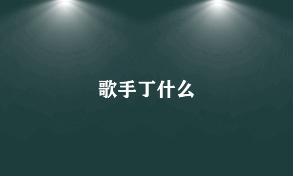 歌手丁什么