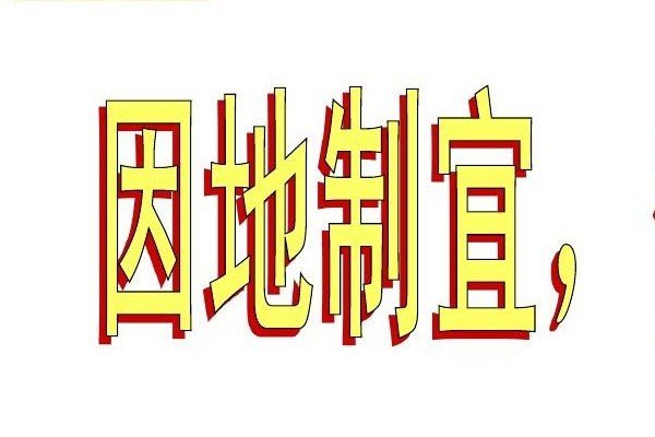 因地制宜的同义词都有哪些？