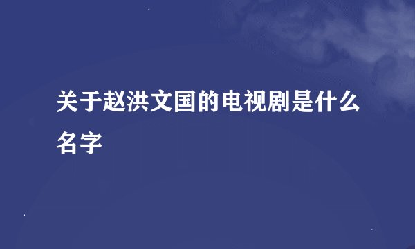 关于赵洪文国的电视剧是什么名字