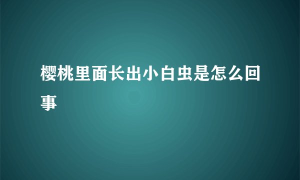 樱桃里面长出小白虫是怎么回事