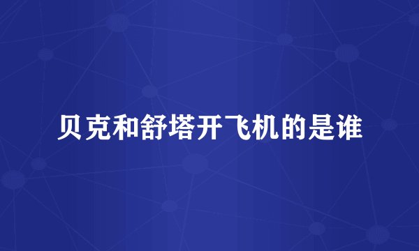 贝克和舒塔开飞机的是谁