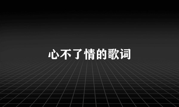 心不了情的歌词