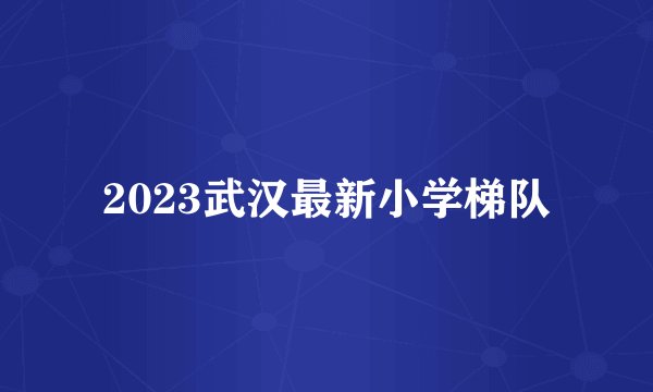 2023武汉最新小学梯队