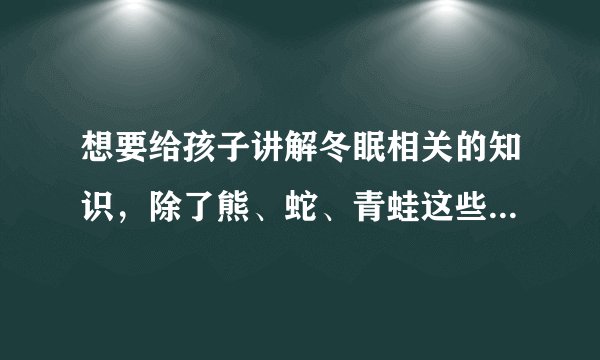 想要给孩子讲解冬眠相关的知识，除了熊、蛇、青蛙这些常见的动物外，还有哪些比较冷门的小动物会冬眠呢