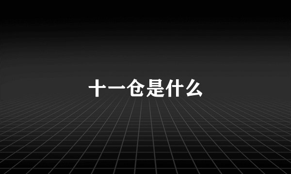 十一仓是什么