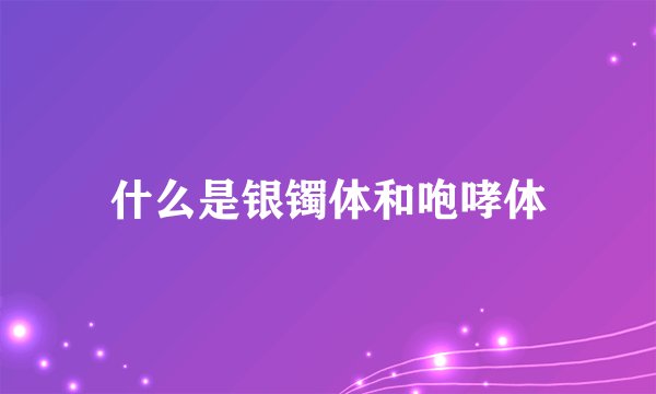 什么是银镯体和咆哮体