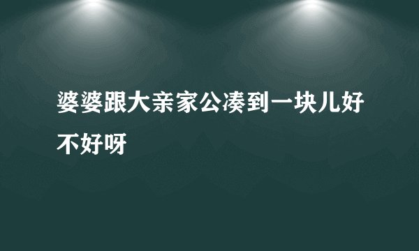婆婆跟大亲家公凑到一块儿好不好呀