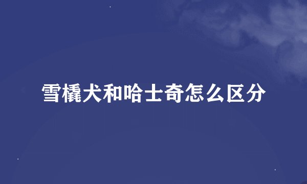 雪橇犬和哈士奇怎么区分