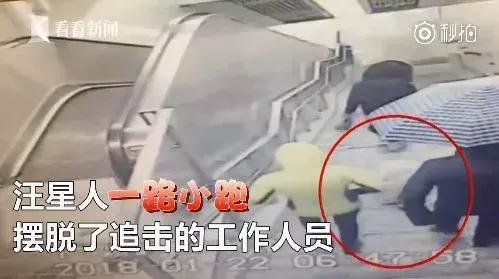 萨摩耶独自乘地铁出走，竟是二哈惹的祸！