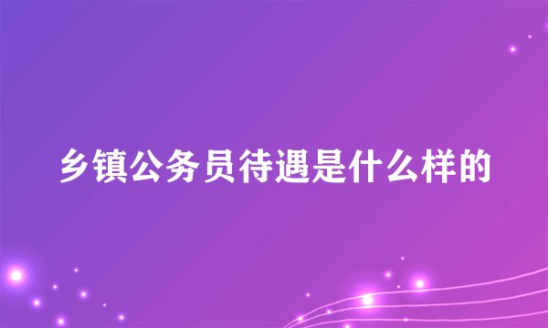 乡镇公务员待遇是什么样的