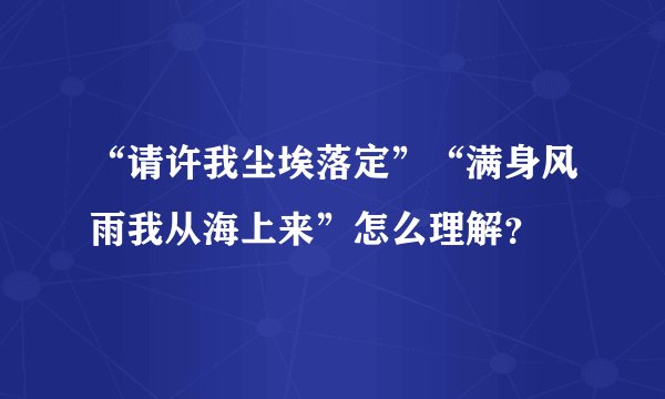 “请许我尘埃落定”“满身风雨我从海上来”怎么理解？