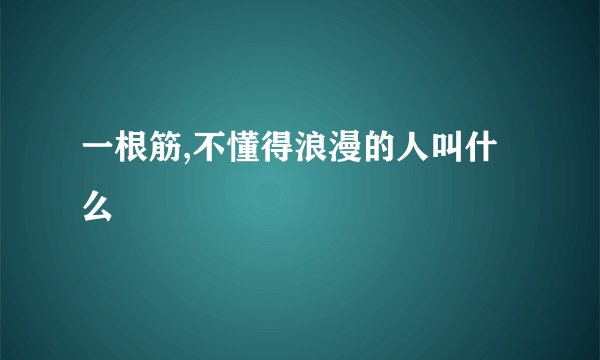 一根筋,不懂得浪漫的人叫什么