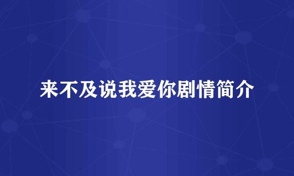 来不及说我爱你剧情简介