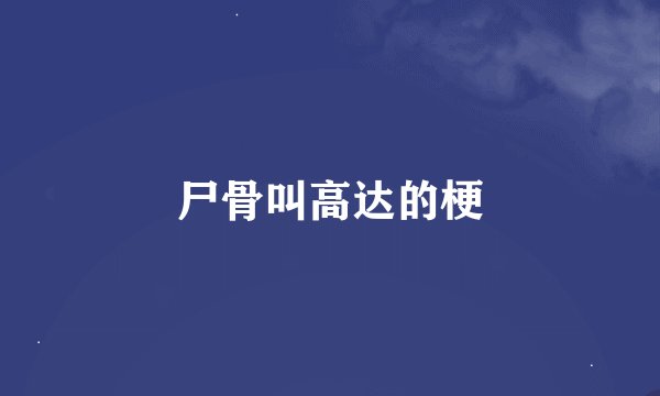 尸骨叫高达的梗
