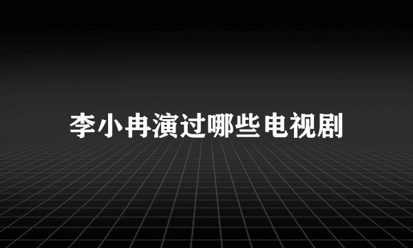李小冉演过哪些电视剧