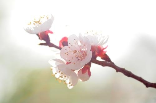 5月是春天还是夏天