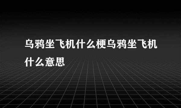 乌鸦坐飞机什么梗乌鸦坐飞机什么意思