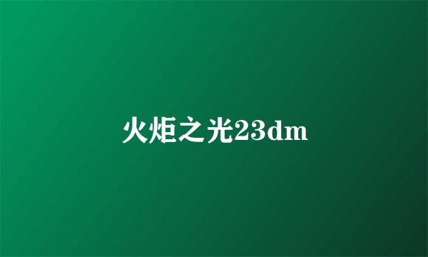 火炬之光23dm