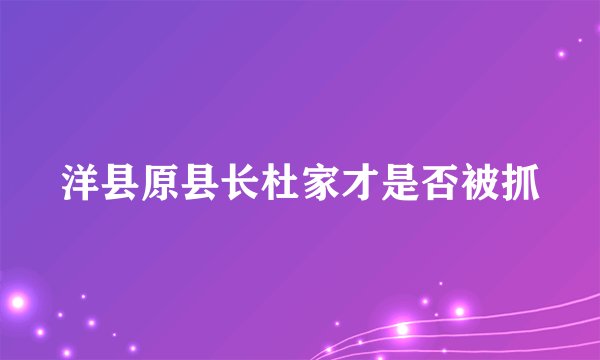 洋县原县长杜家才是否被抓