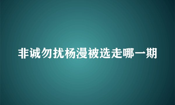 非诚勿扰杨漫被选走哪一期