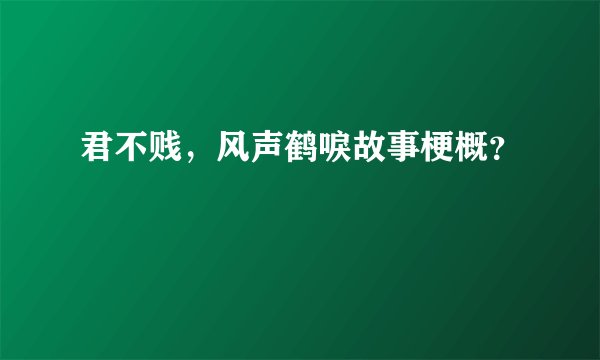 君不贱，风声鹤唳故事梗概？