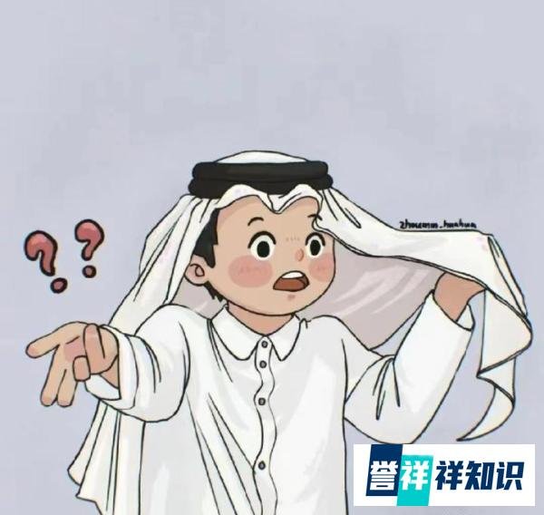 卡塔尔小王子的真实身份