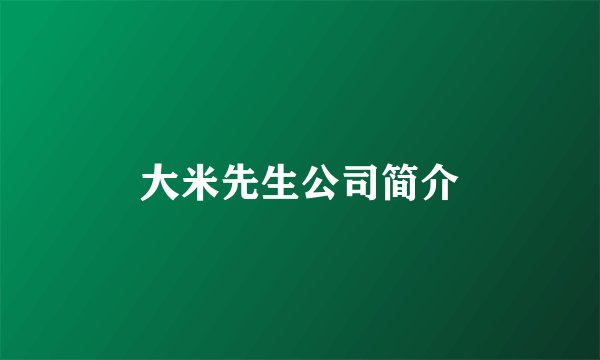大米先生公司简介