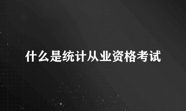 什么是统计从业资格考试