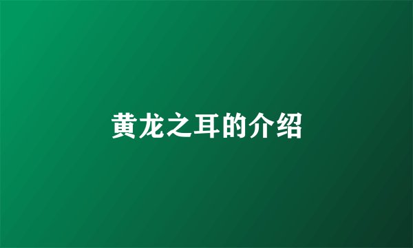 黄龙之耳的介绍