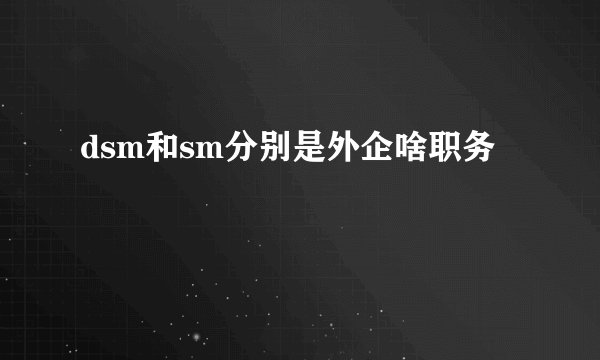 dsm和sm分别是外企啥职务