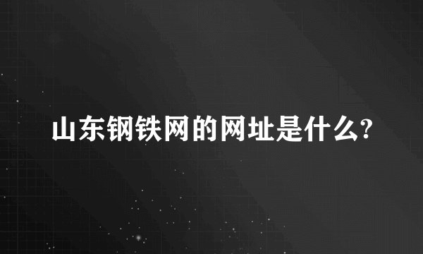 山东钢铁网的网址是什么?